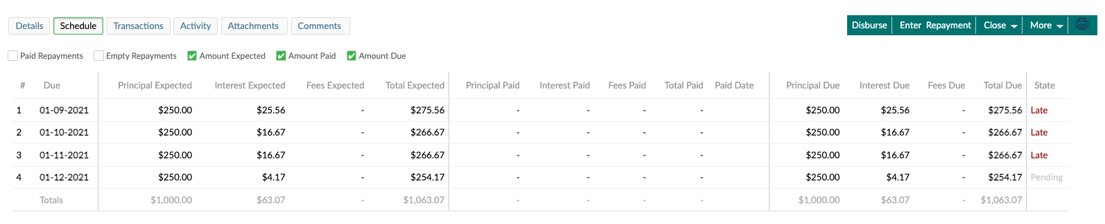 The schedule of a Revolving loan showing the amount expected